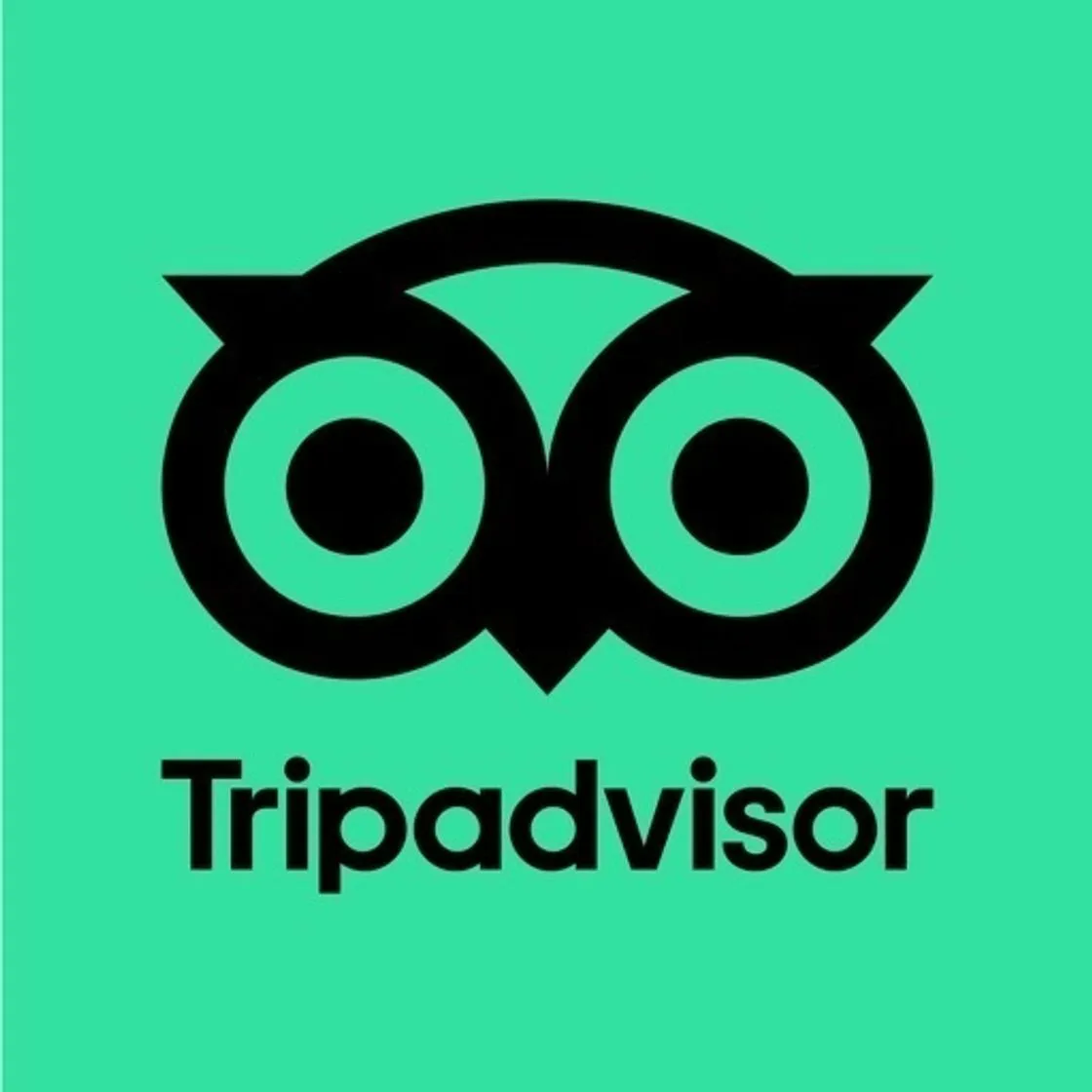 TripAdvisor: hoteles, vuelos
