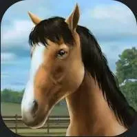 My Horse