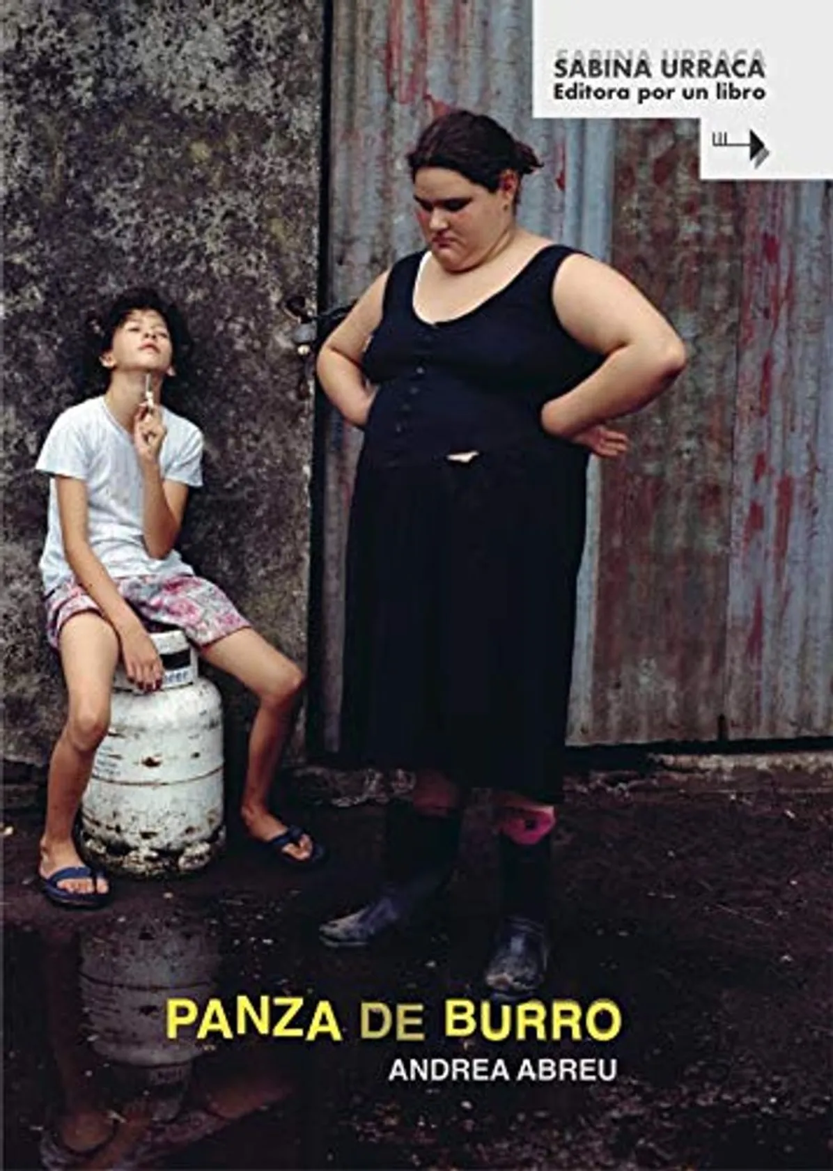 Panza de burro (novela)