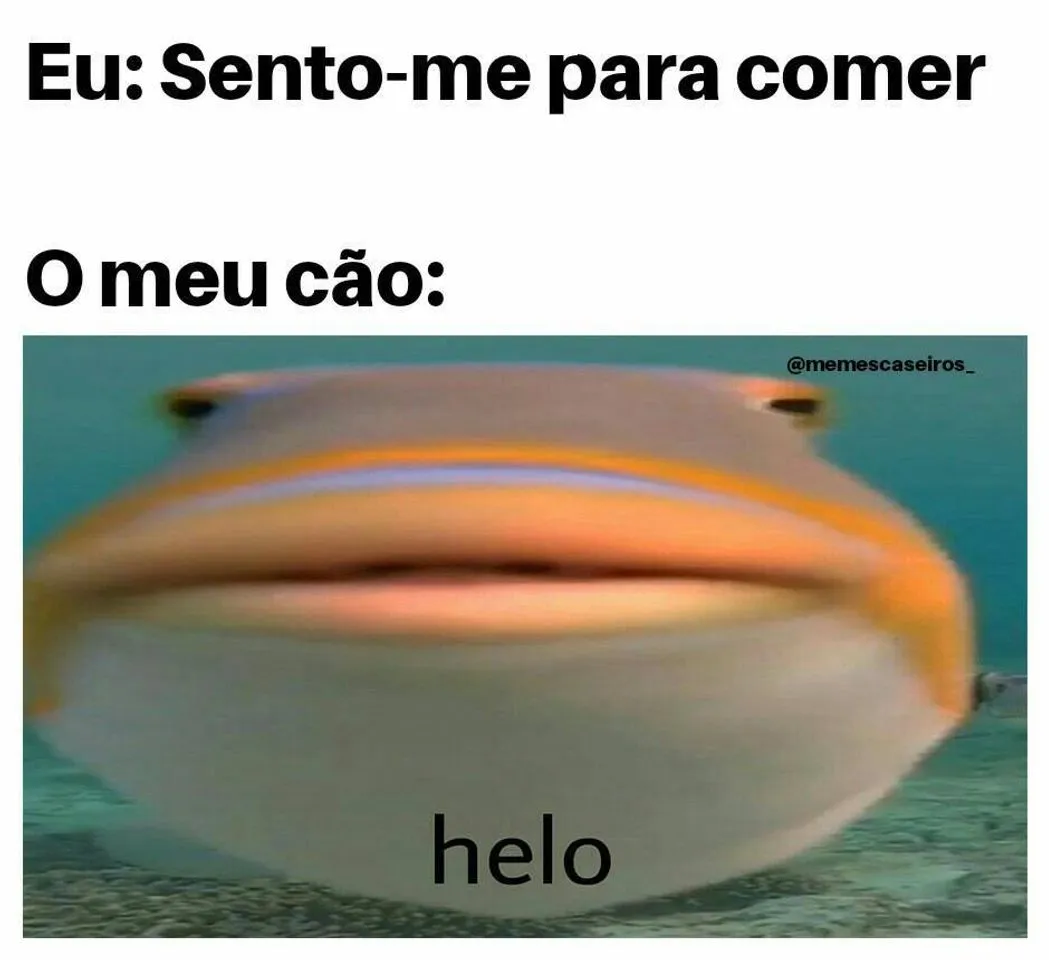 MEME Maker Pro, MEME Creator
