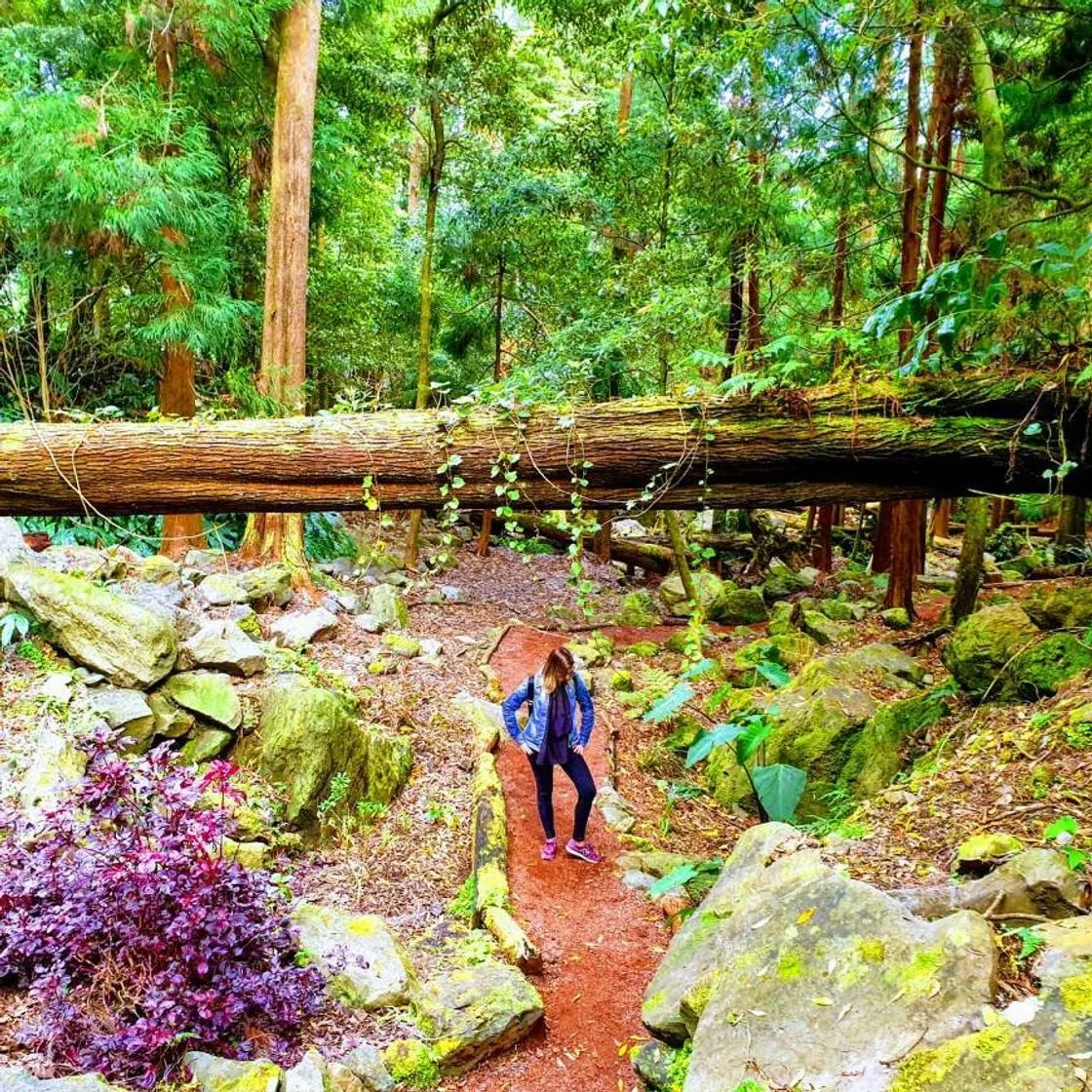 Parque Grená