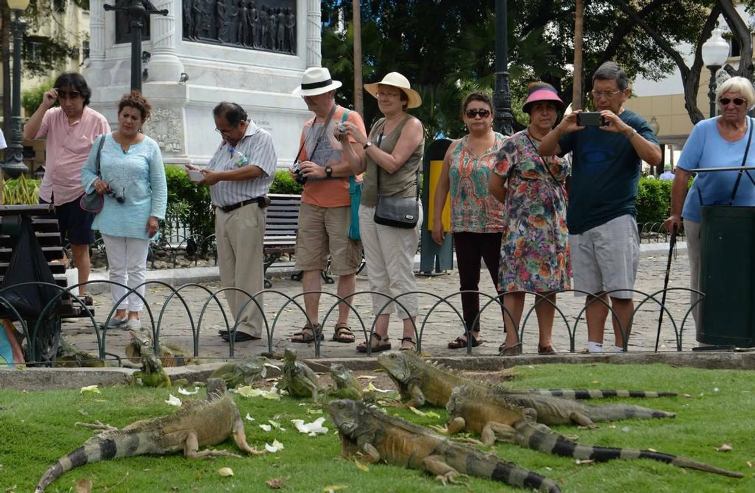 Parque de las Iguanas
