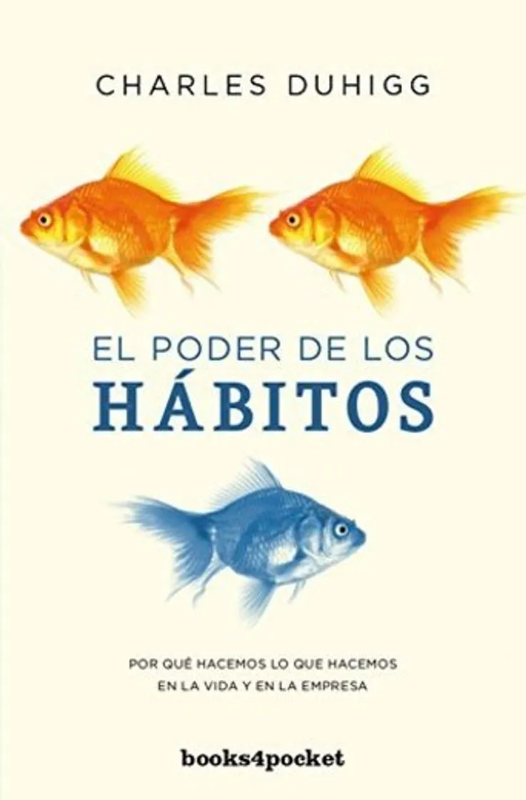 El poder de los hábitos