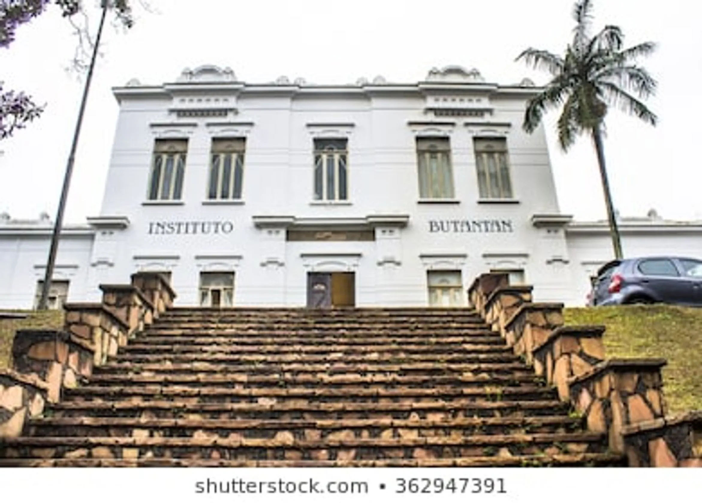 Instituto Butantan