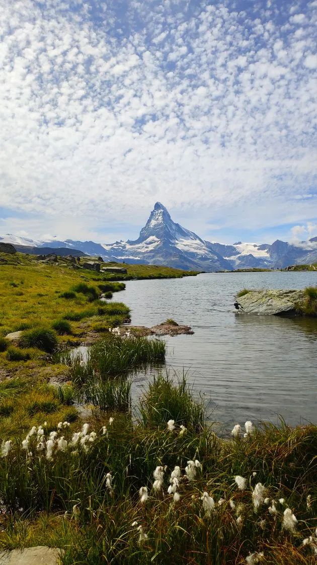 Stellisee