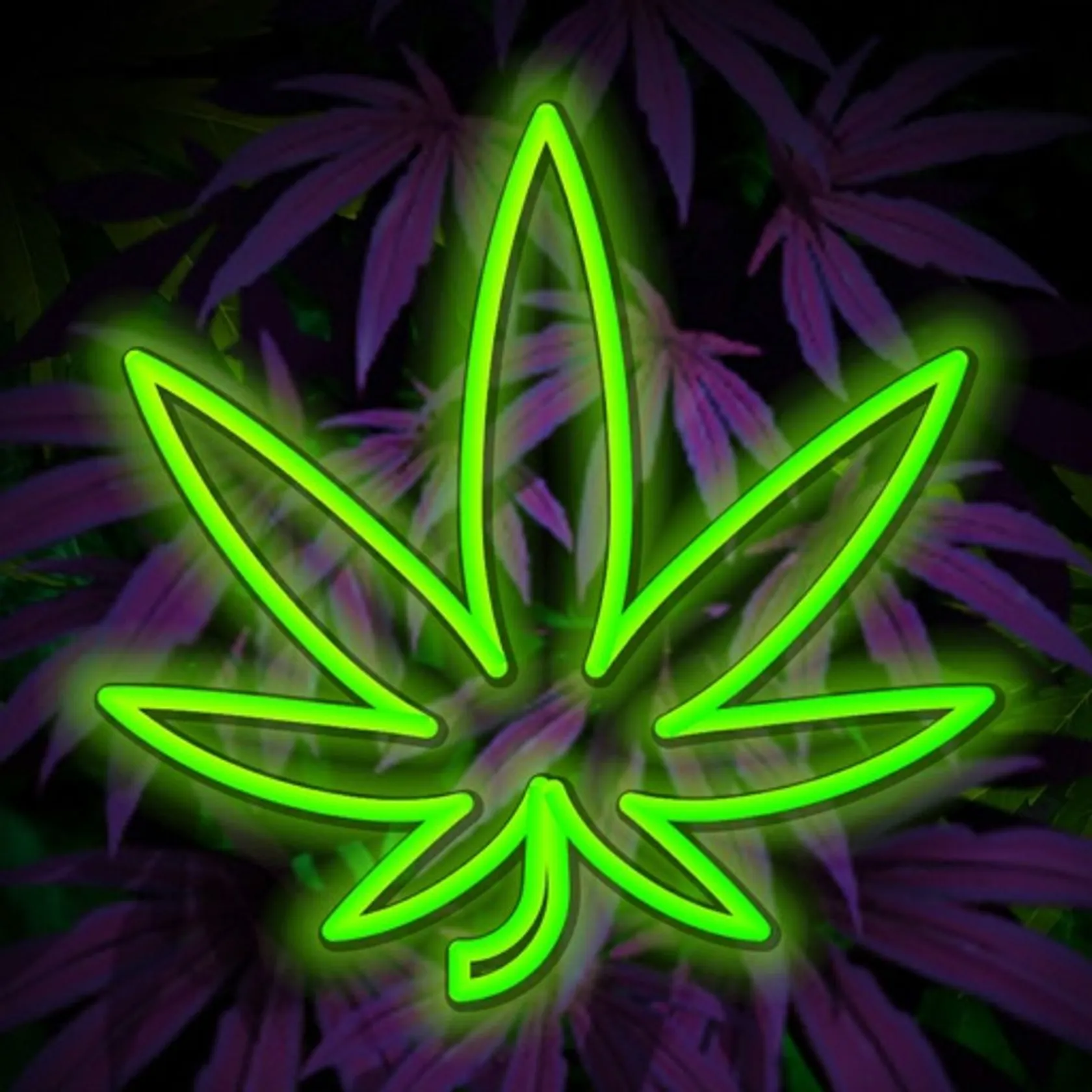 Hempire - Weed Growing Game