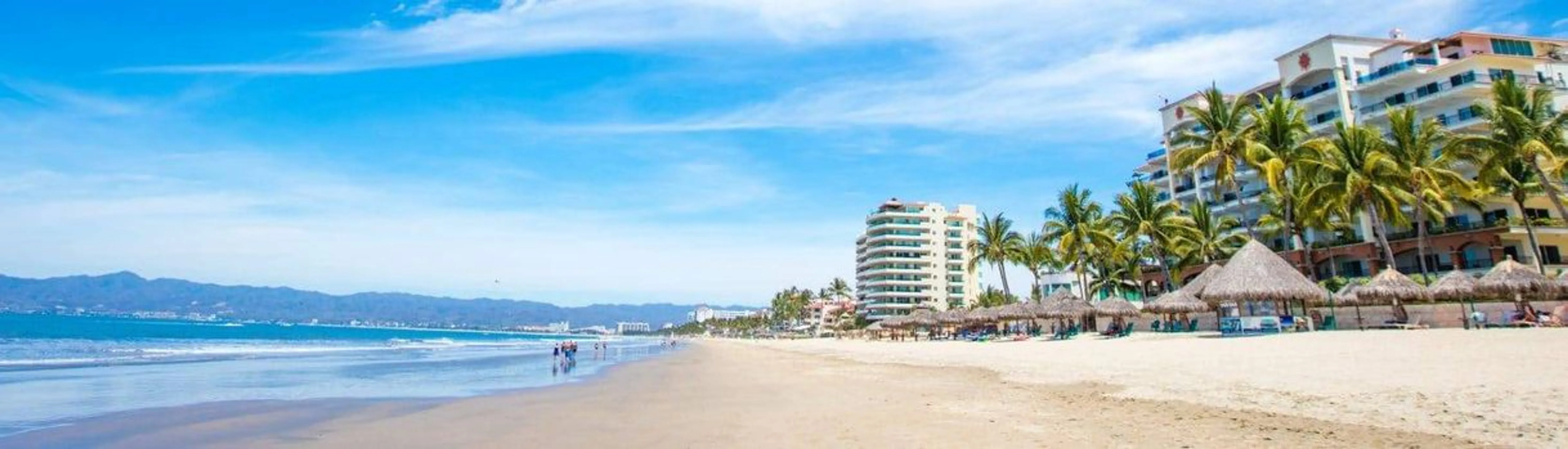 NUEVO VALLARTA