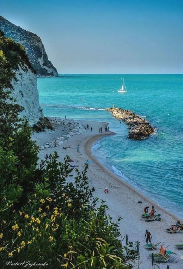 Ancona