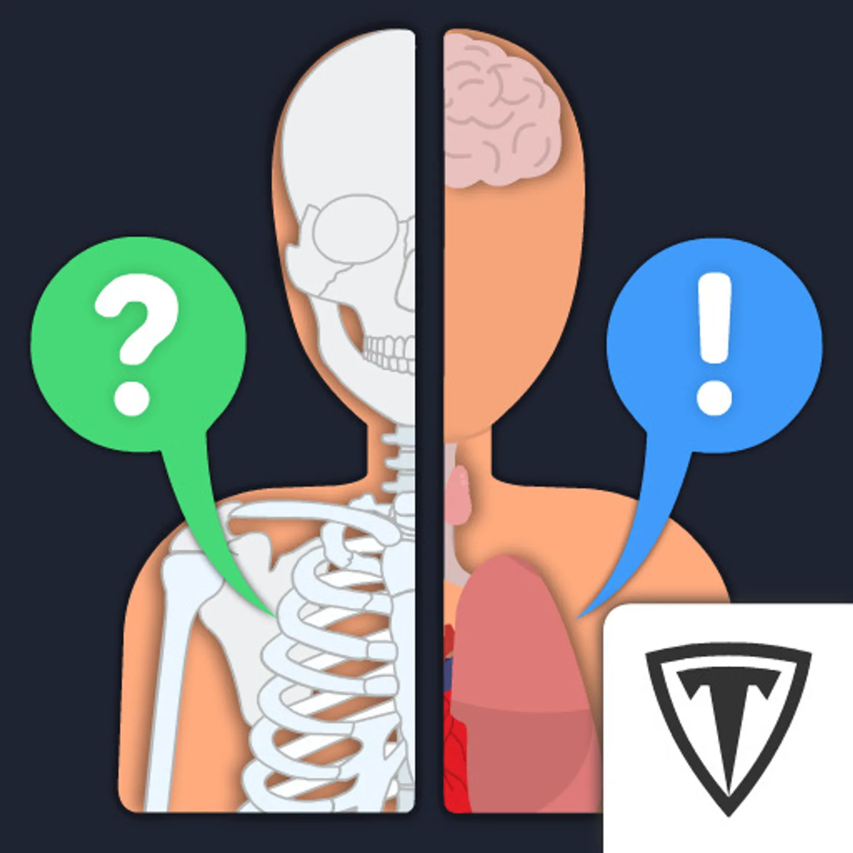 Anato Trivia - Quiz sobre Anatomia Humana