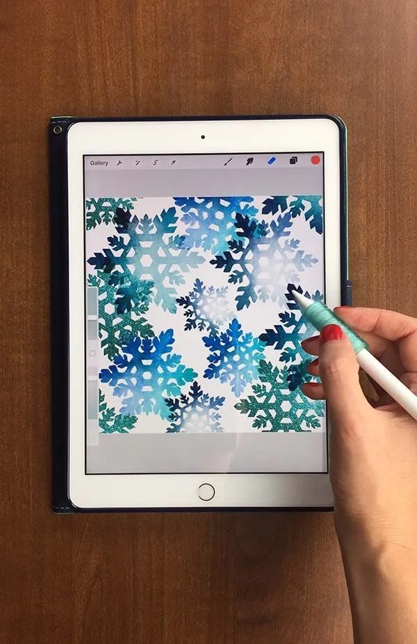 ProCreate iPad