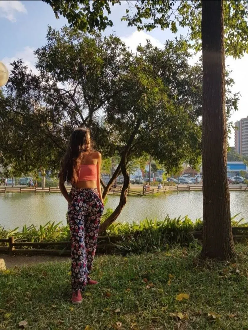 Bosque Maia
