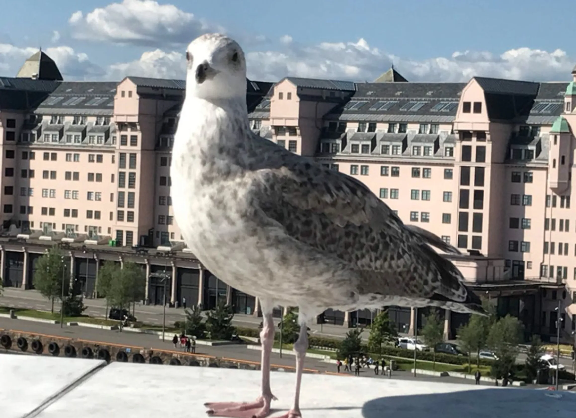 Oslo