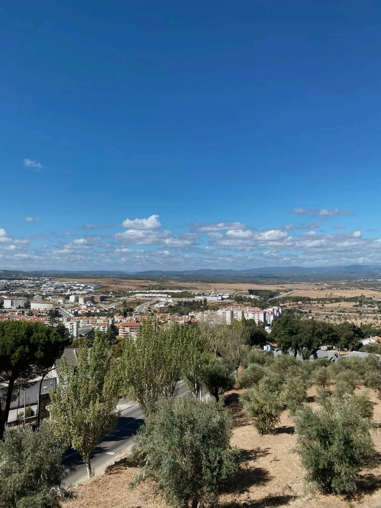 Castelo Branco
