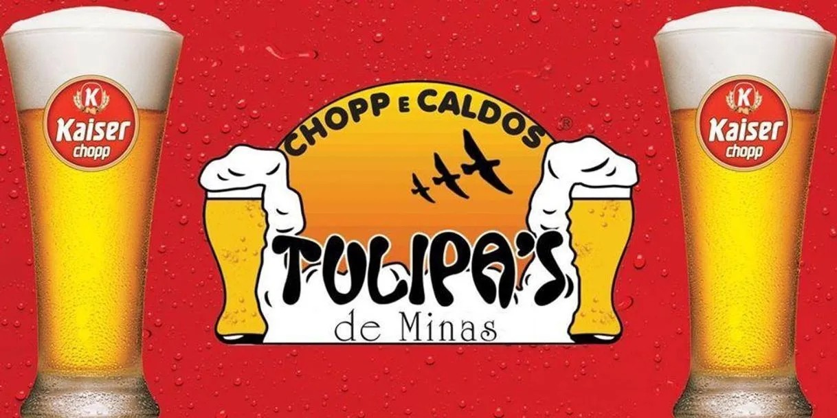 Tulipa's de Minas