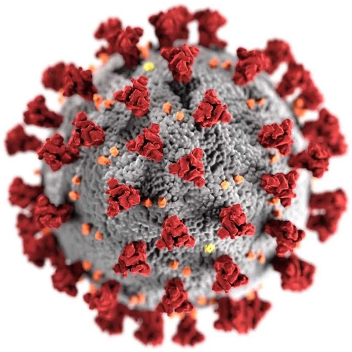 CoronaVirus info Rangeview