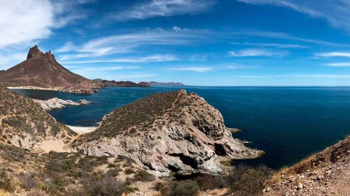 Sonora
