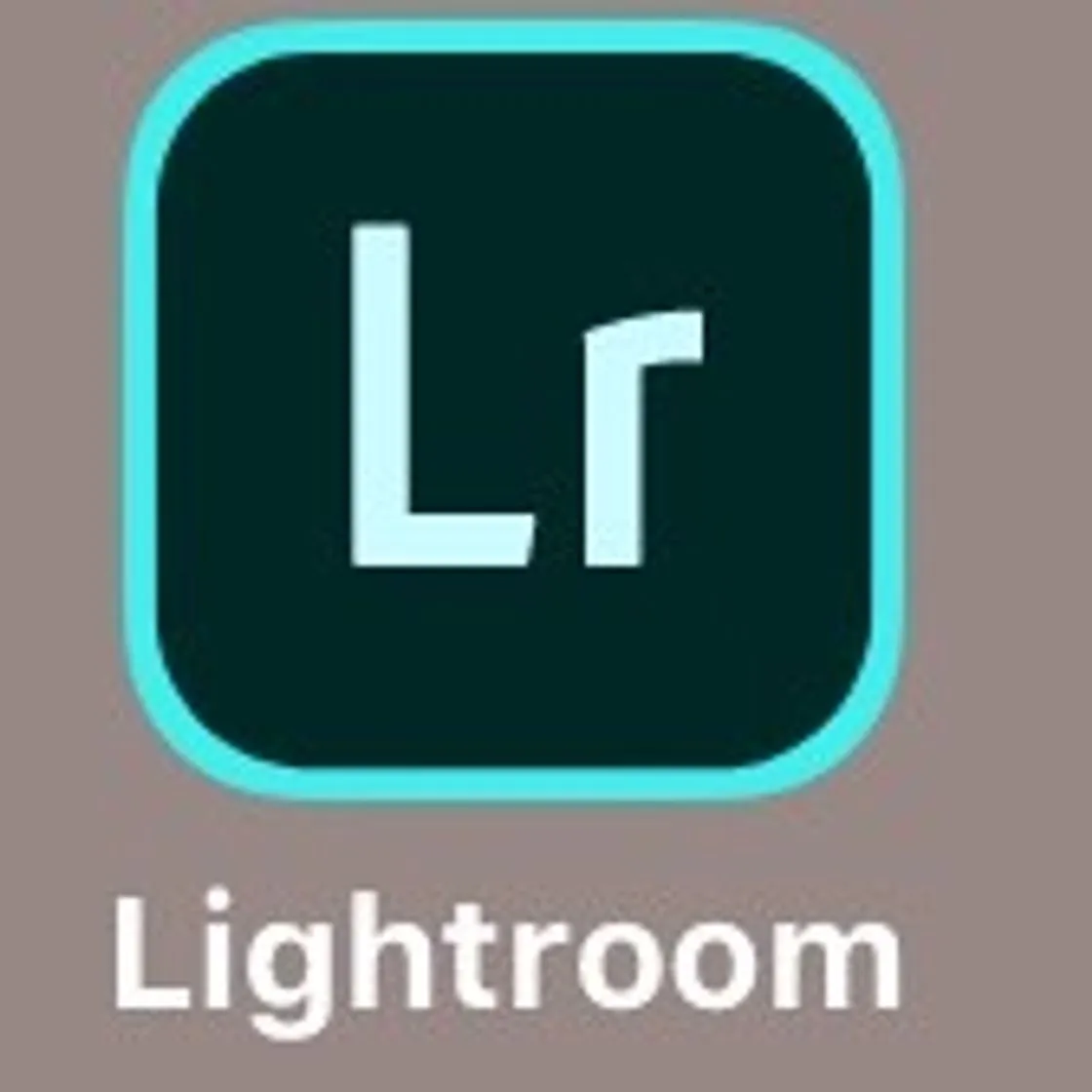Online photo editor | Photoshop Lightroom