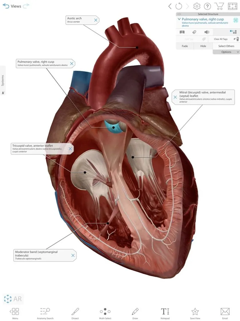Human Anatomy Atlas 2021 na App Store