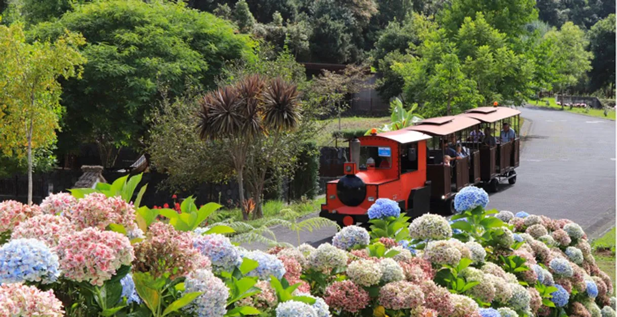 Parque Temático