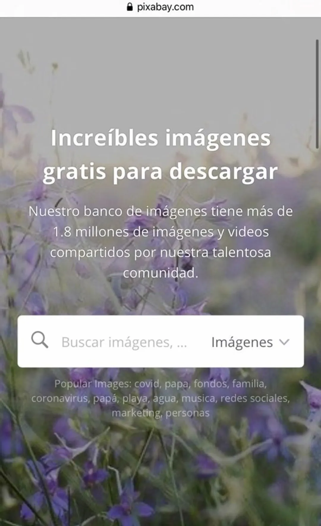 Pixabay