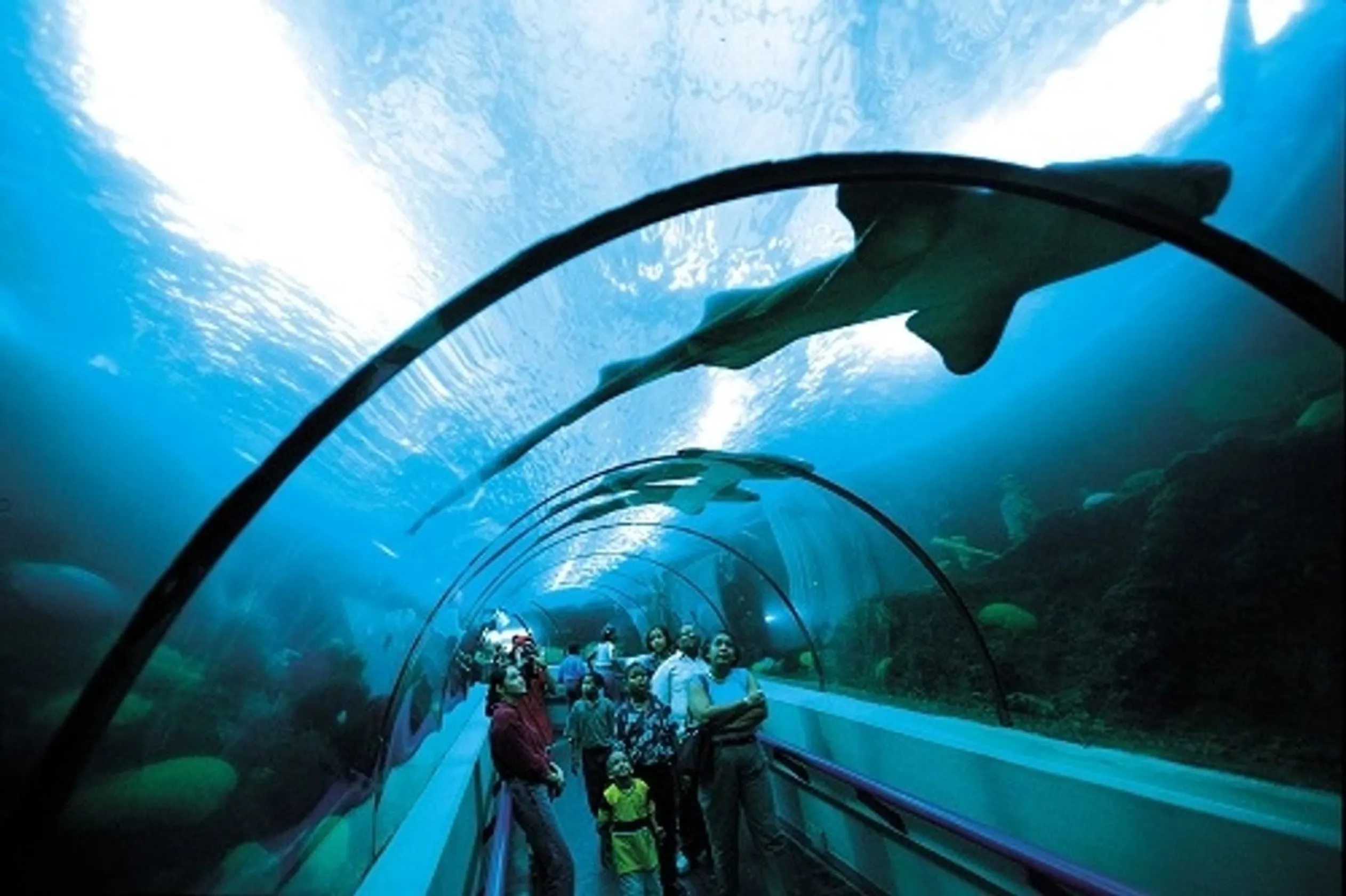 Acuario Nacional de la República Dominicana