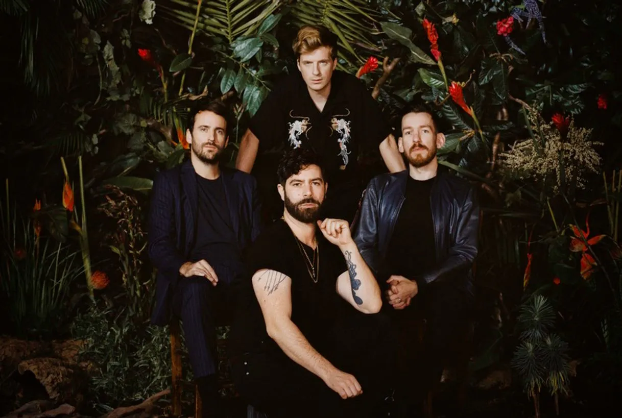 Foals