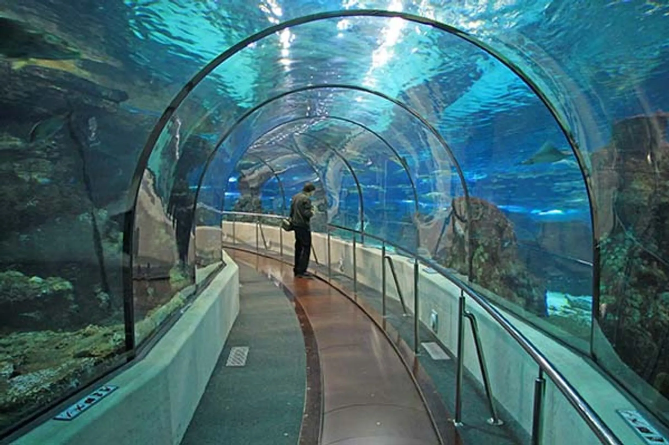 Aquarium de Barcelona