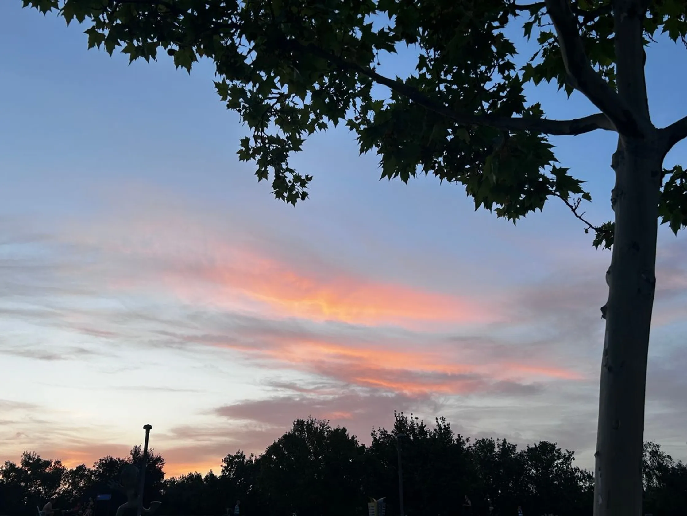 Parque Juan Carlos I