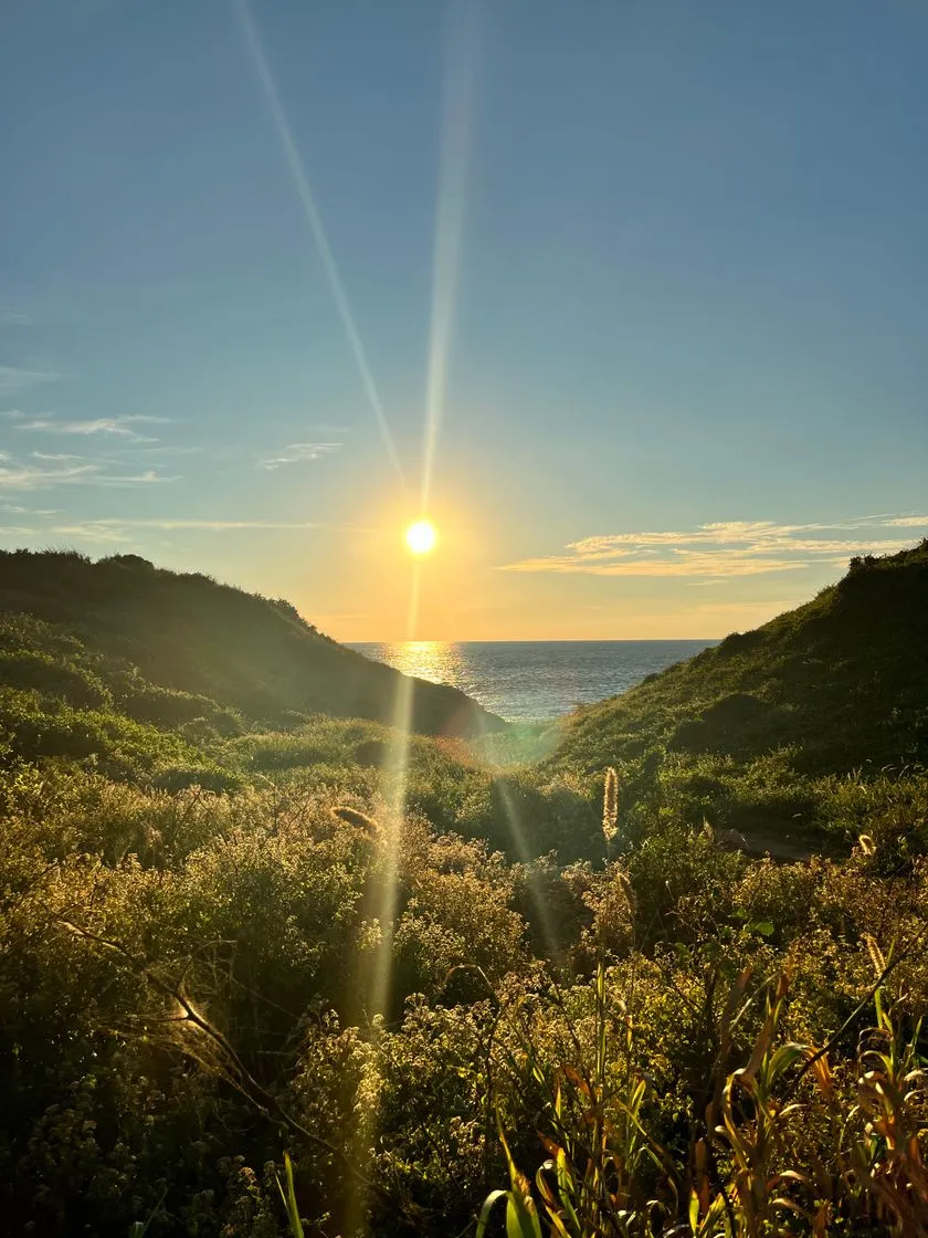 Punta Cometa