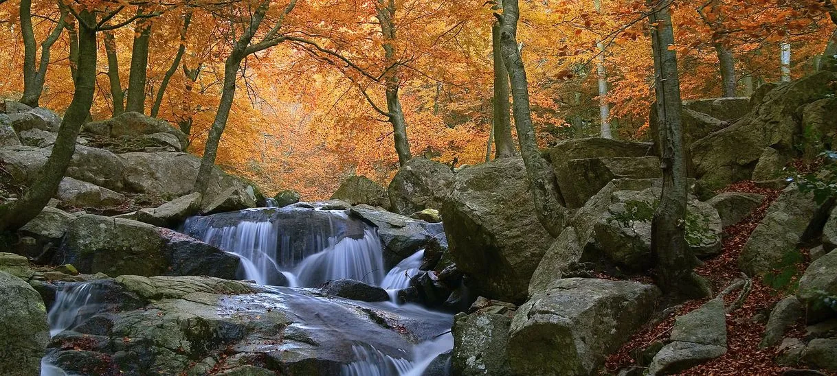 Montseny