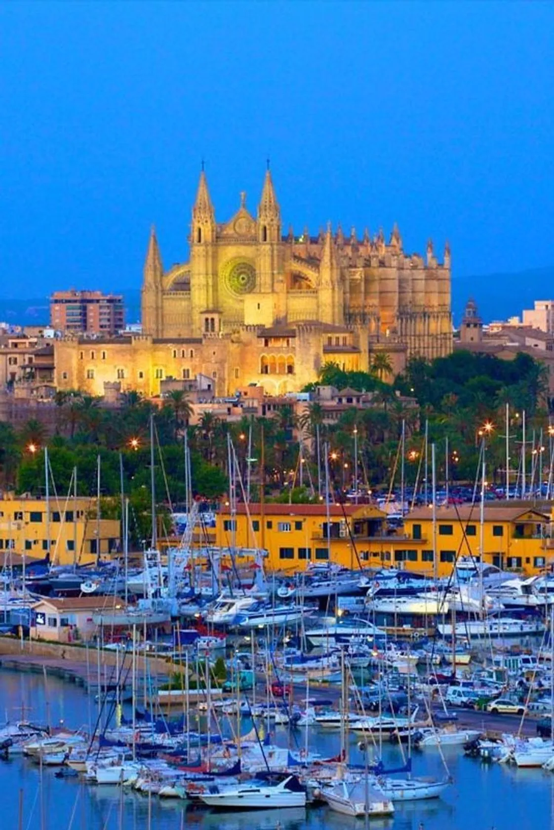 Palma