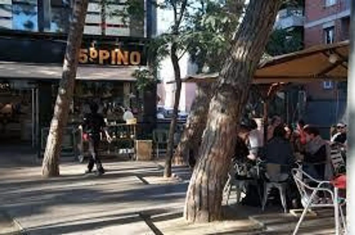 5° Pino