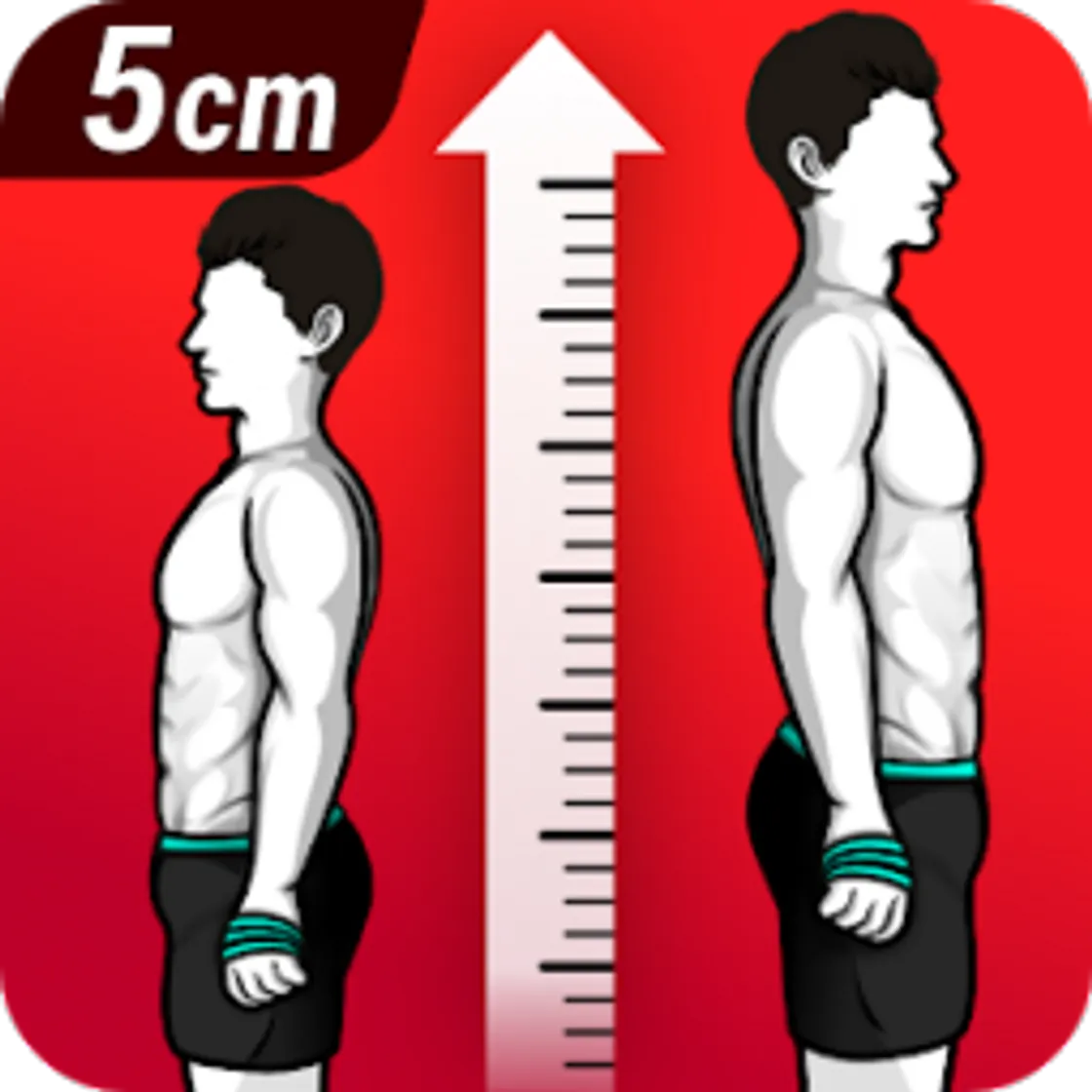 Increase Height Workout,