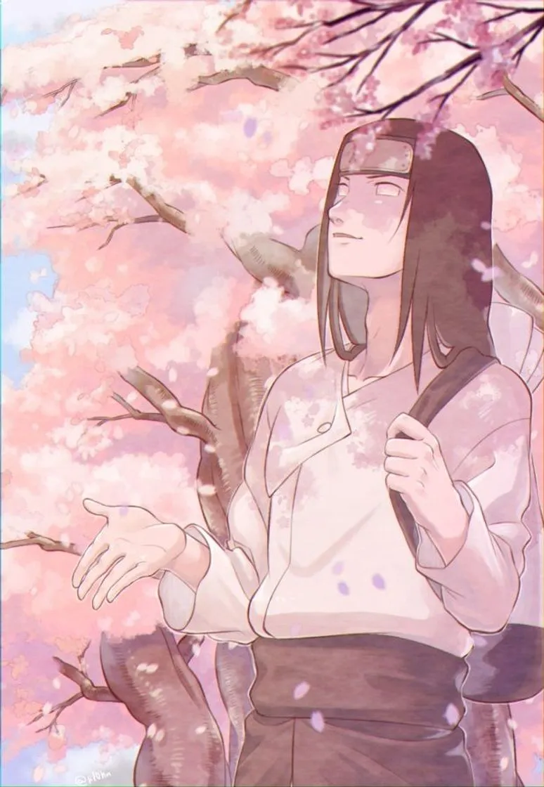Anime & Wallpapers