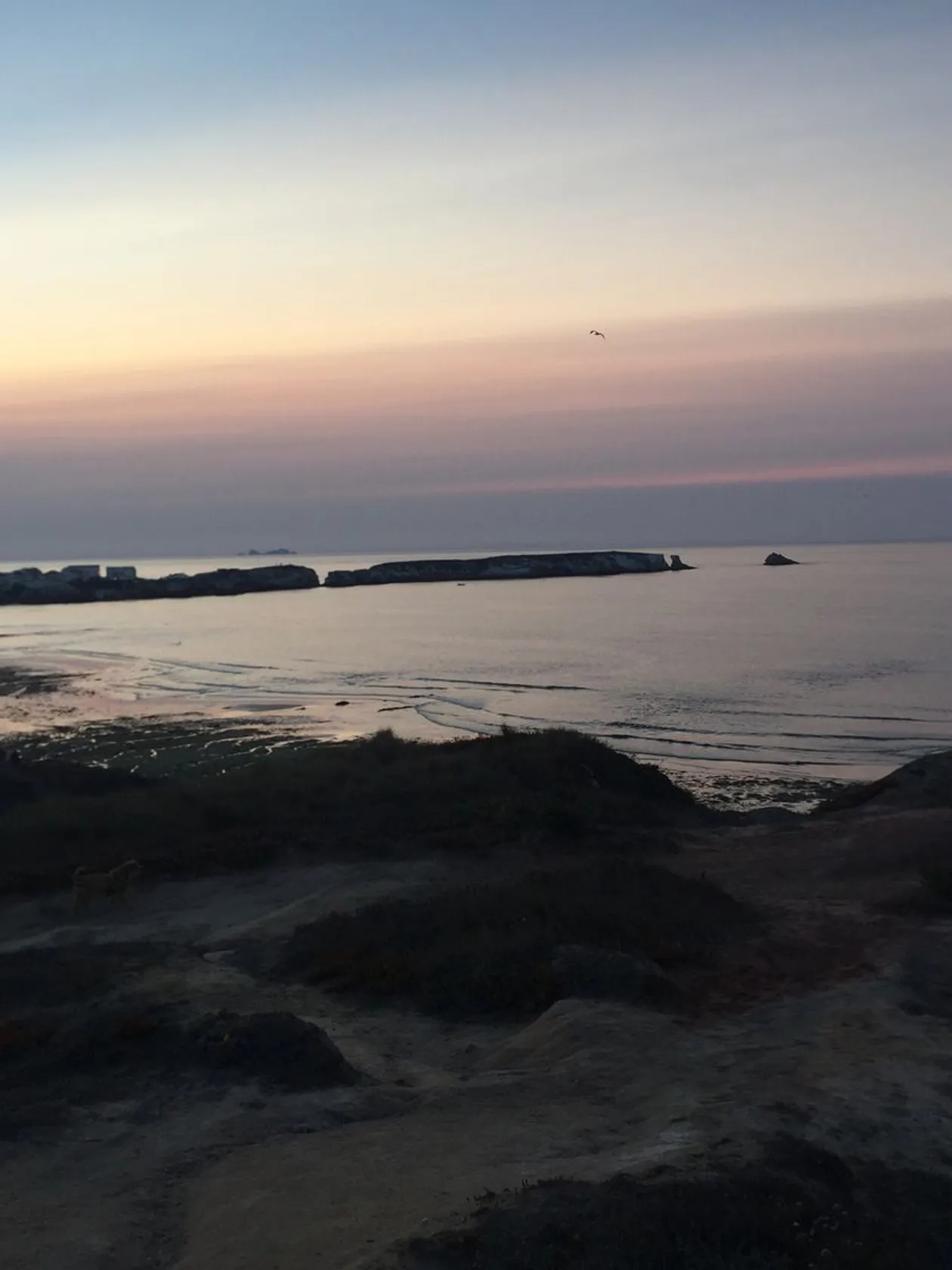 Baleal