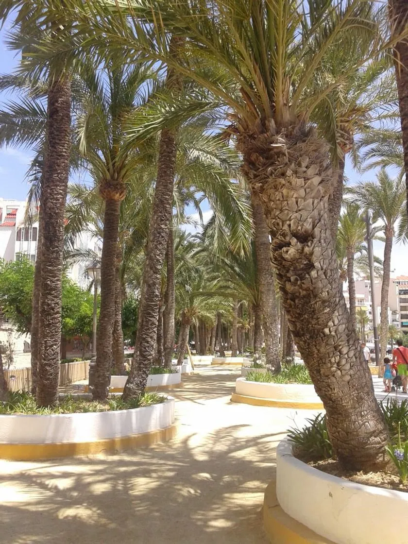 Parque de Elche