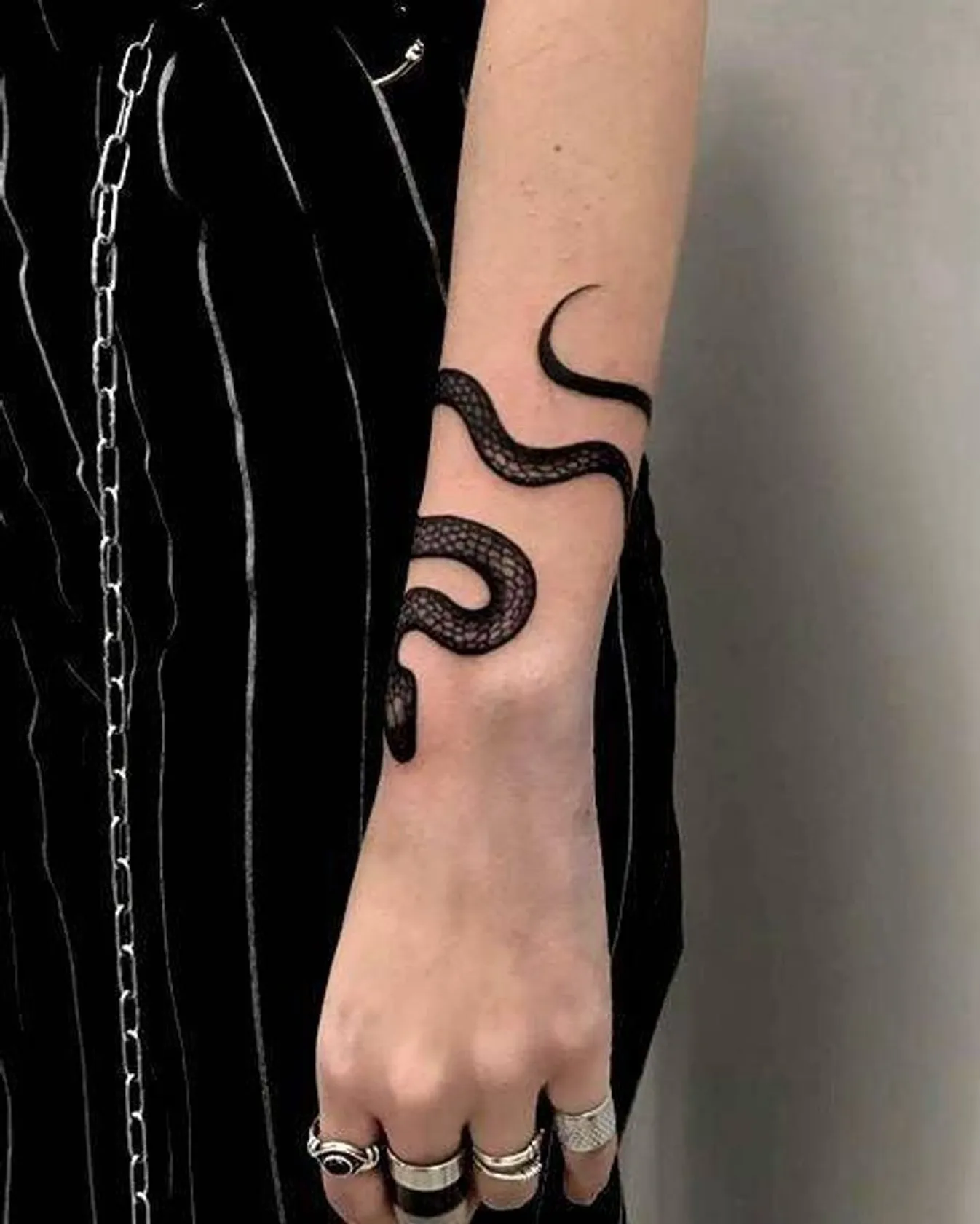Top 🐍