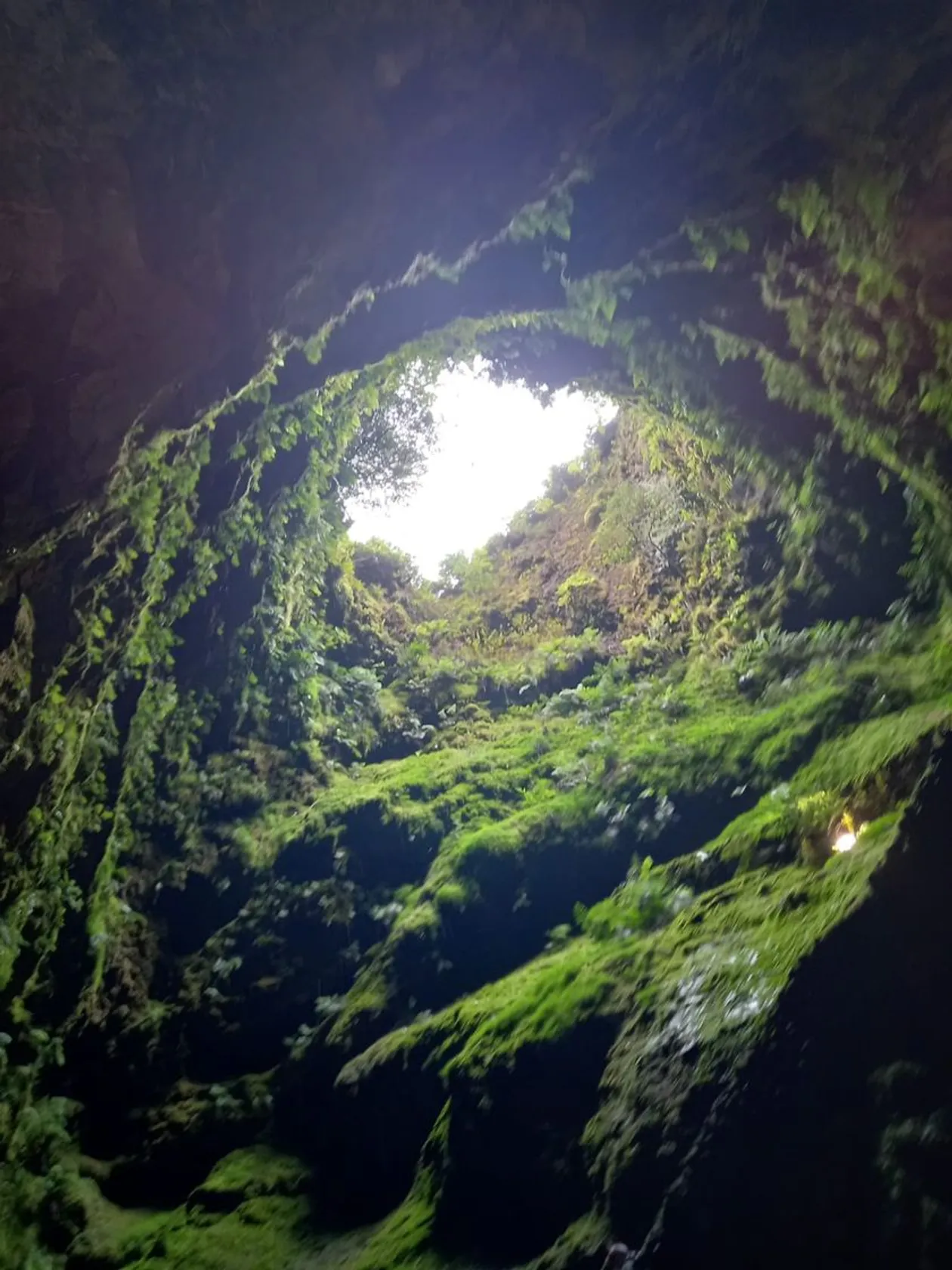 Terceira