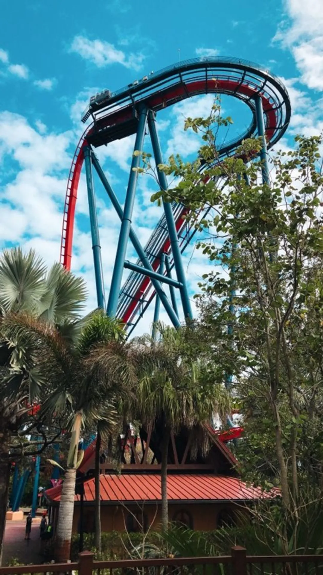 SheiKra