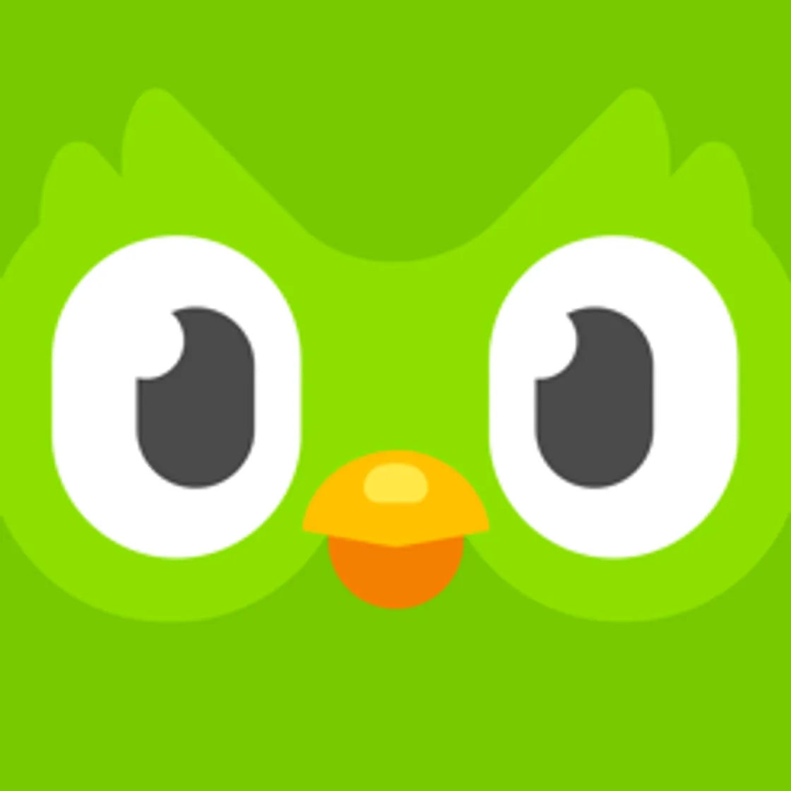Duolingo - Language Lessons on the App Store