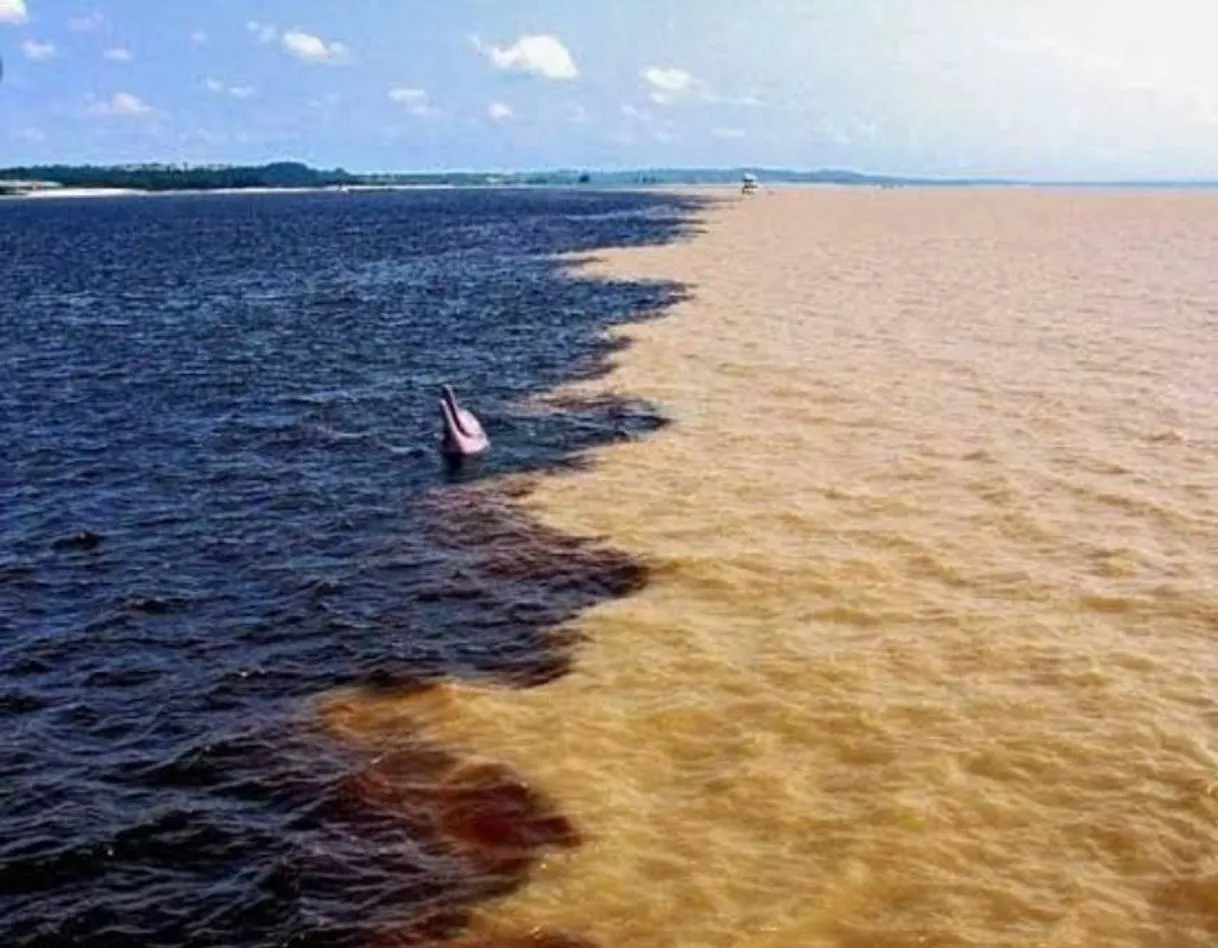Encontro Das Aguas