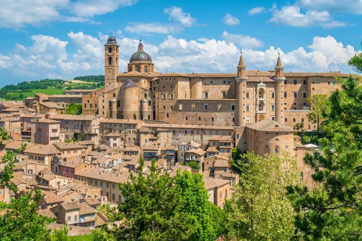 Urbino
