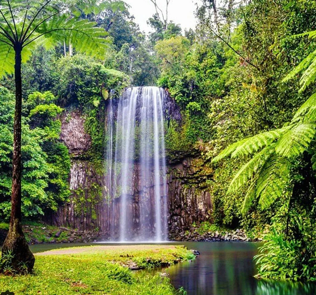 Millaa Millaa Waterfall