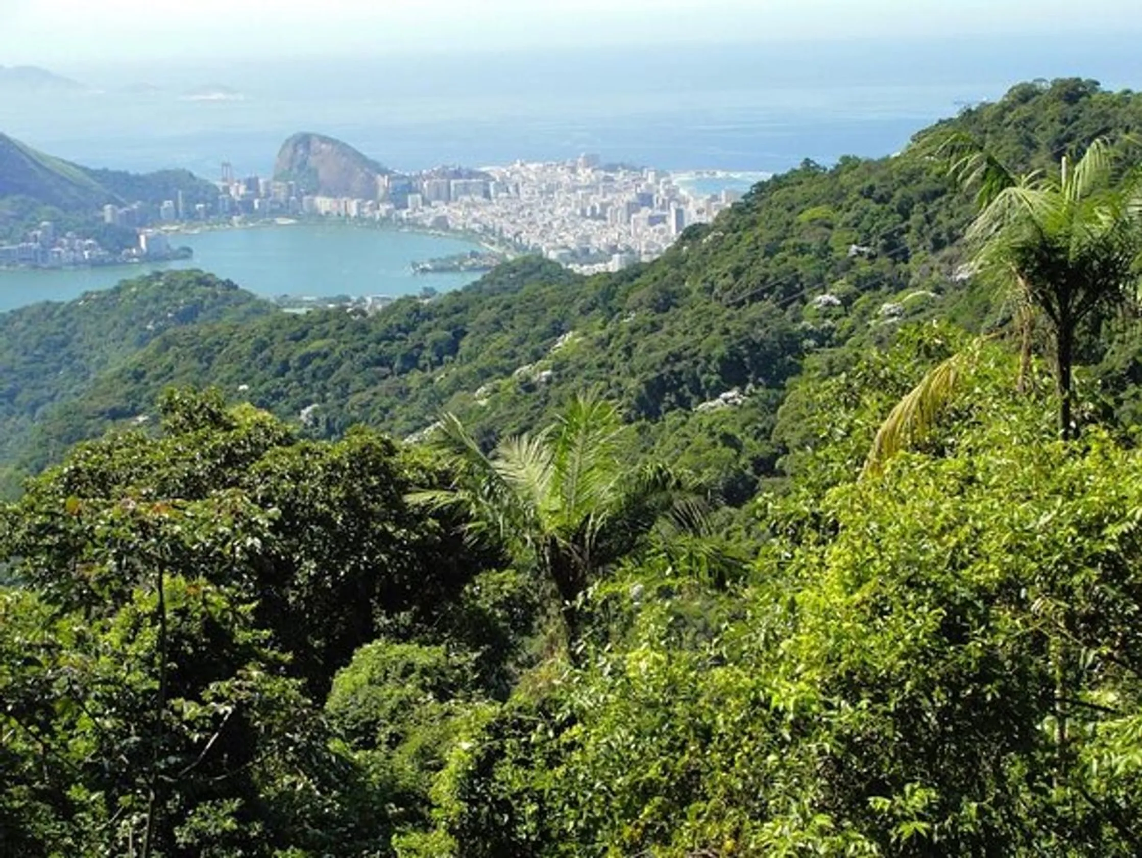 Tijuca National Park
