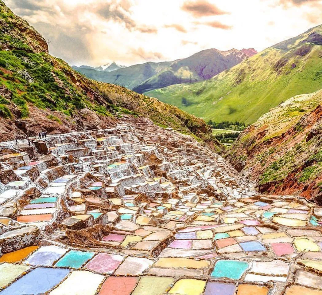 Maras