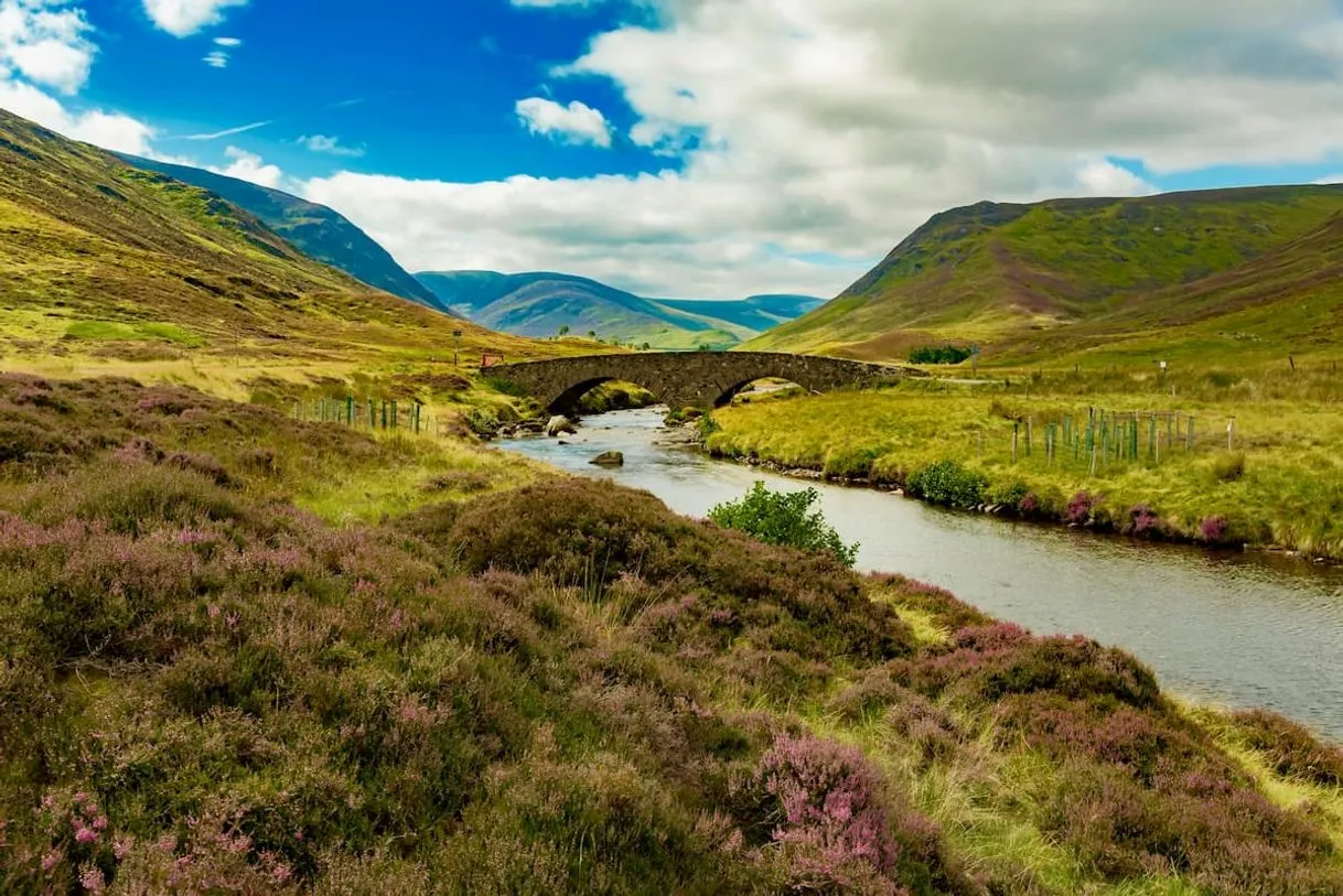 Cairngorms