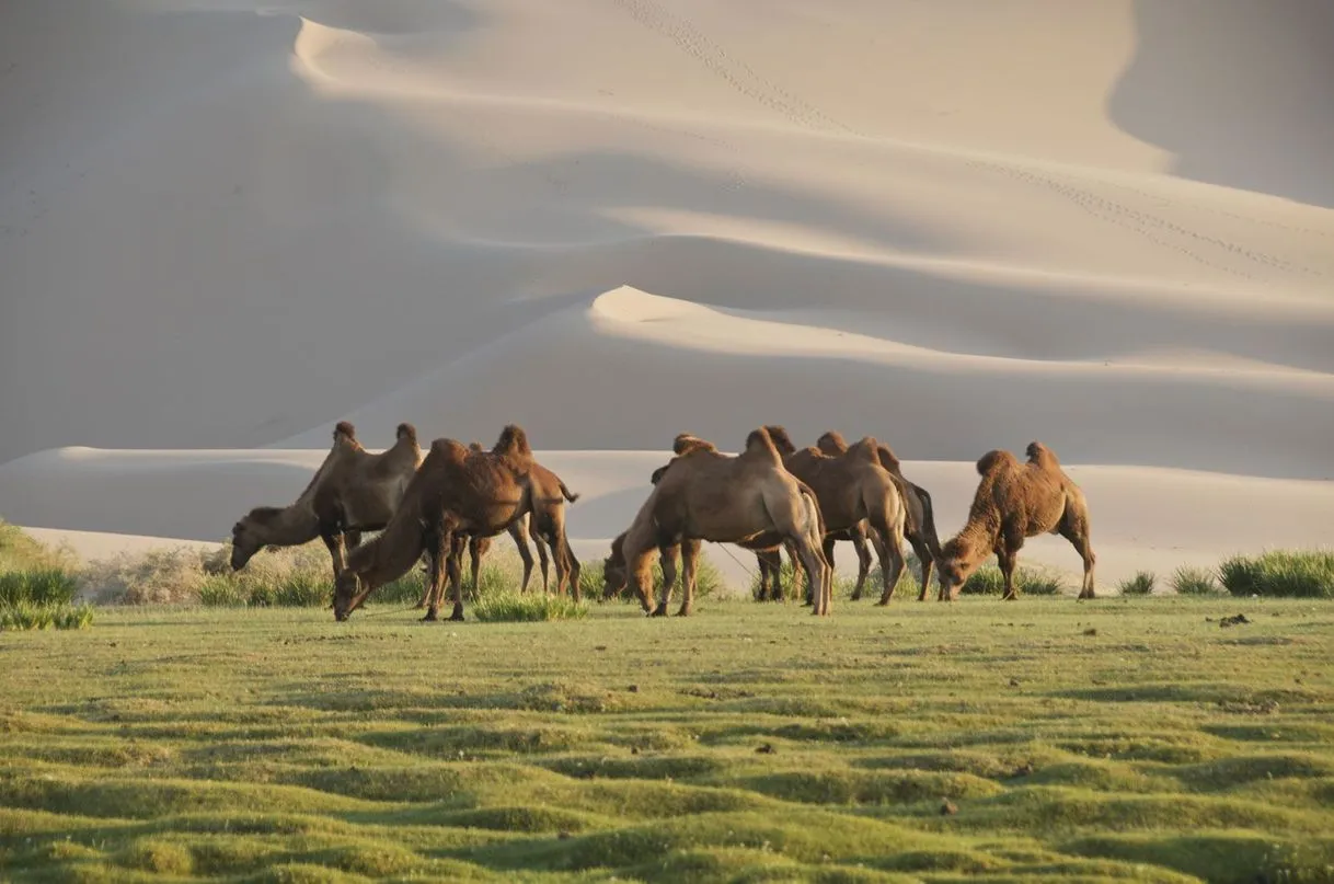 Mongolia