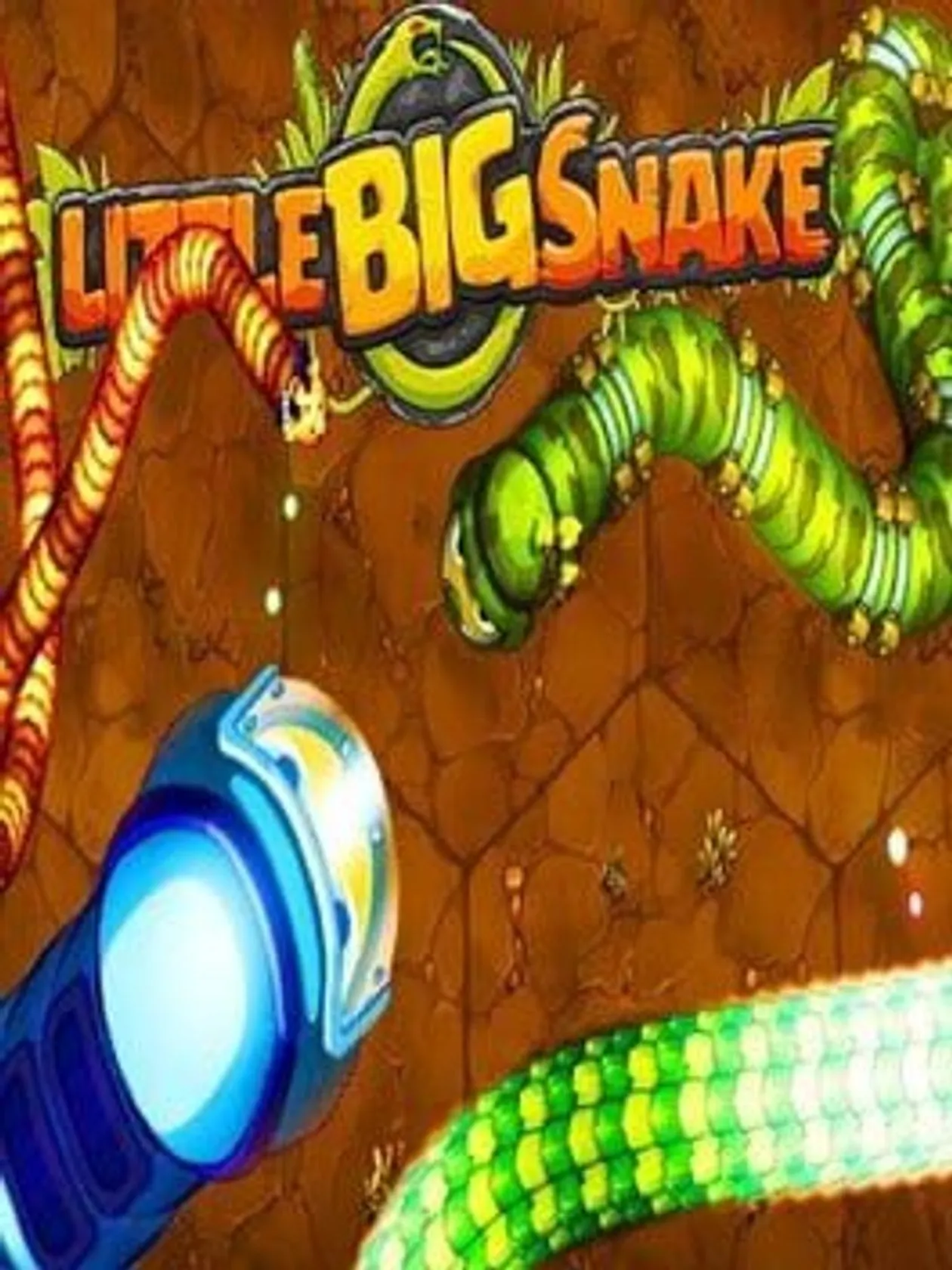Little Big Snake