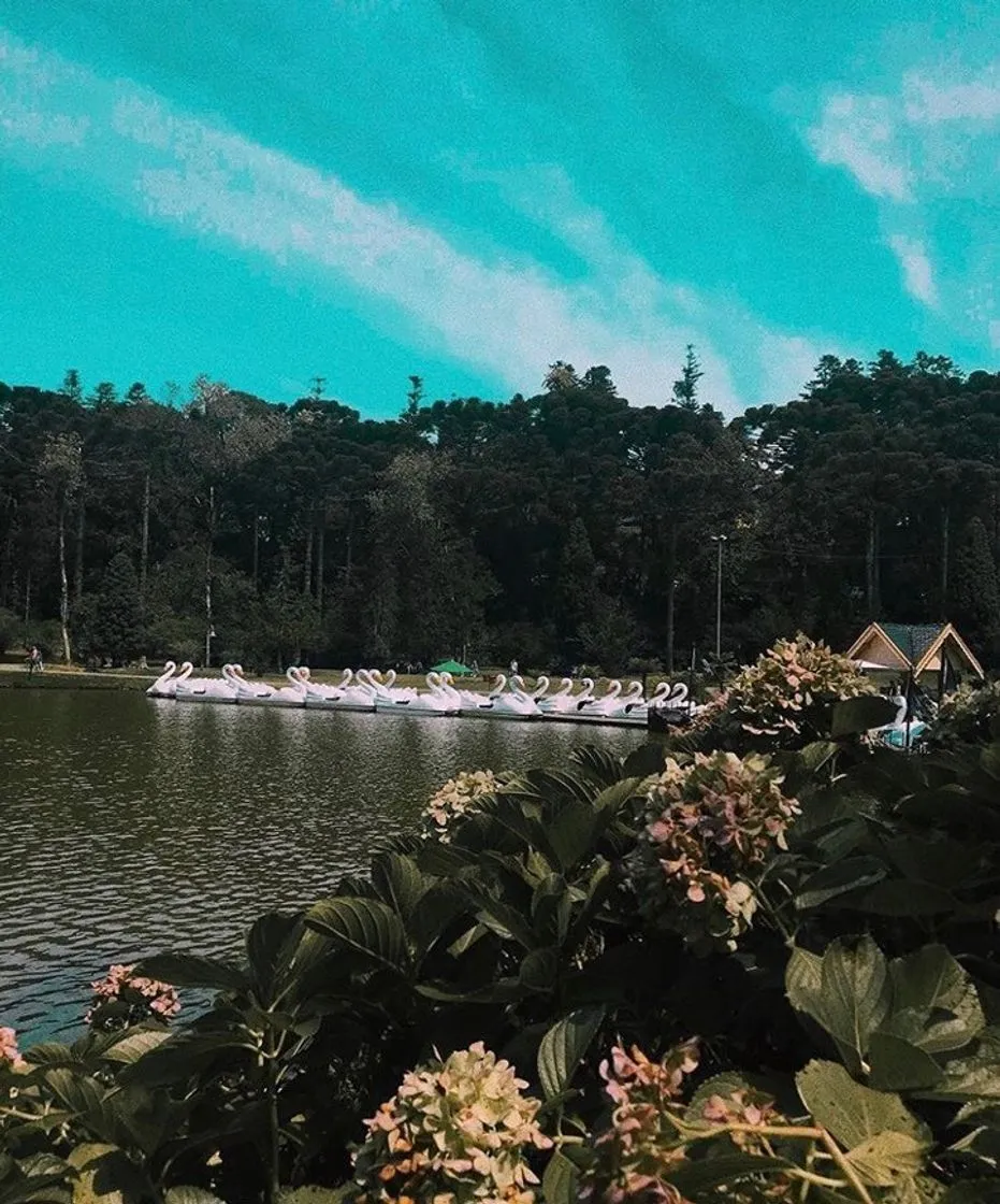 Lago negro