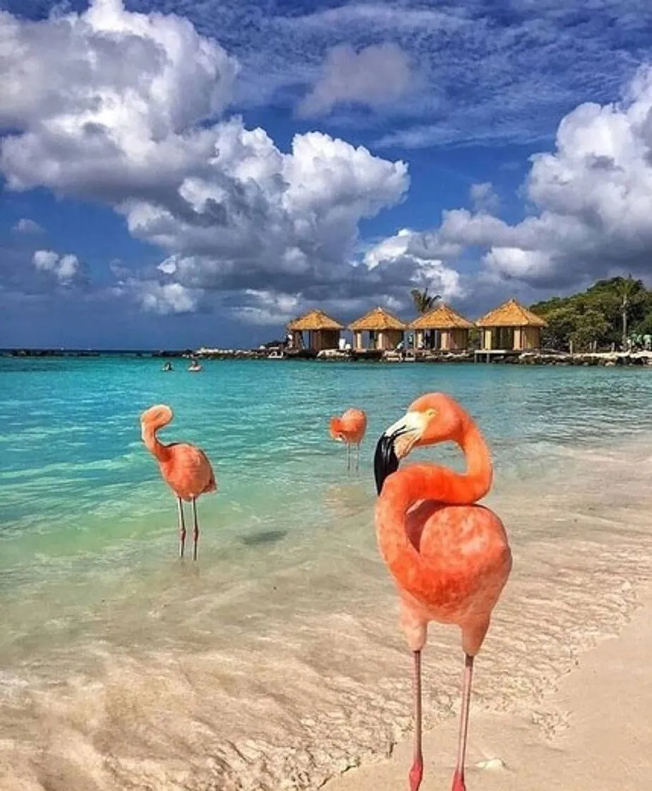 Aruba
